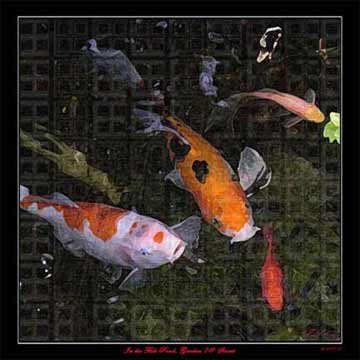 In the Fish Pond #1